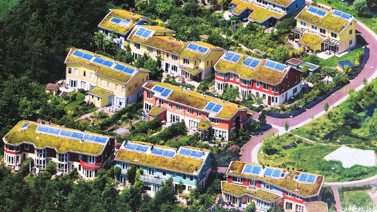 Sedumworld Bedrijvengids NL